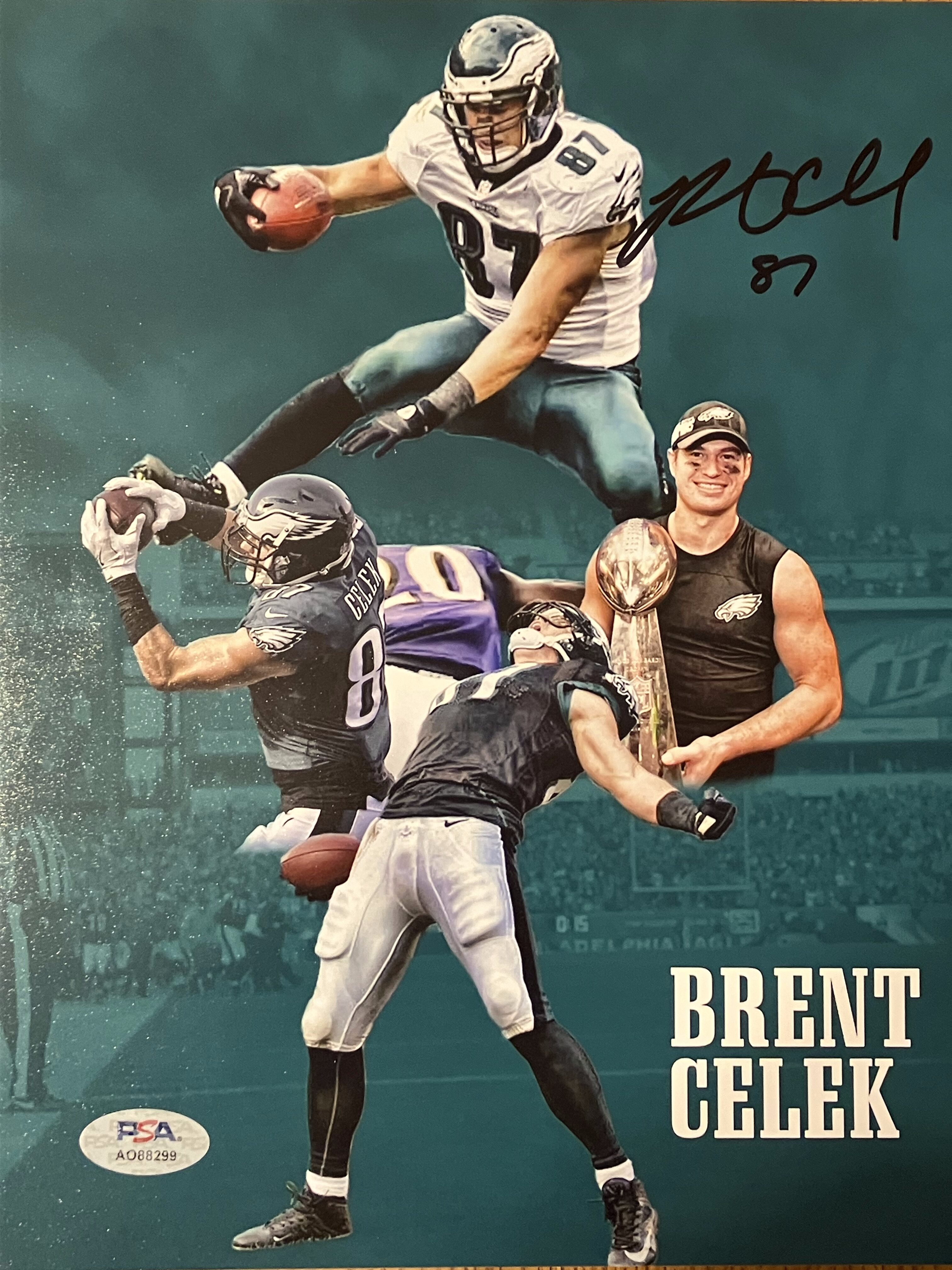 Brent Celek Autographed Philadelphia Eagles 8x10 Collage Photo